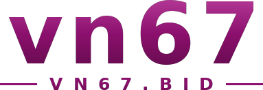 vn67 logo